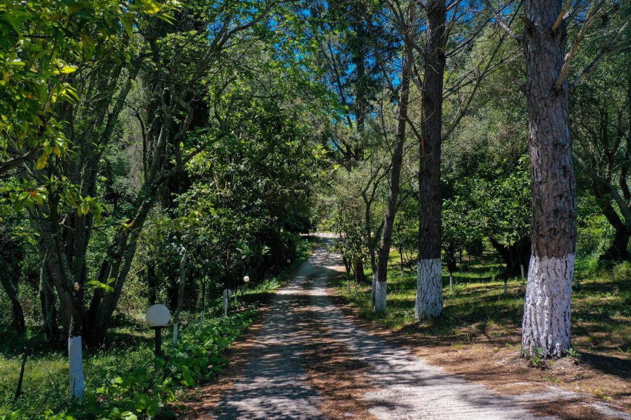 Postatiko Holiday Home Central Corfu Kynopiastai Экстерьер фото